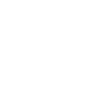 PST Web & Landing Page-Michigan Outline