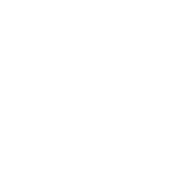 PST Web & Landing Page-13-Washington Outline