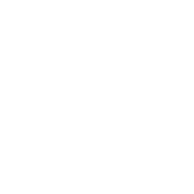 Texas State Outline