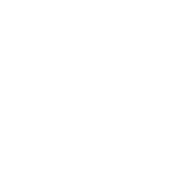 PST Web & Landing Page-New York Outline